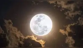 Calendario lunar de febrero 2026: cuándo ver la Luna llena y el eclipse del “Anillo de Fuego” visible este mes