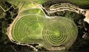 La ingeniería inversa en las humanidades, por Luciano Stucchi