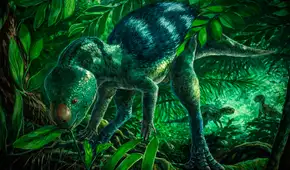 Científicos descubren una nueva especie de dinosaurio de hace 125 millones de años en España: sería tan pequeño como un perro