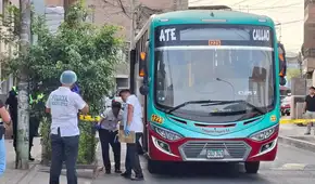 Chofer de Transporte Pesquero fallece tras ataque armado en ruta de Santa Anita