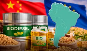 Europa toma una dura decisión que amenaza las exportaciones de soja de este país de América Latina, el histórico vendedor de China