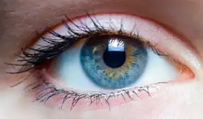 Científicos descubren que una bacteria común en los ojos estaría relacionada con el avance del Alzheimer y demencia