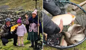 Familia peruana vive SOLA a más de 4.000 m.s.n.m. y creó su propio paraíso productivo de truchas en los Andes: "Es un trabajo fuerte"