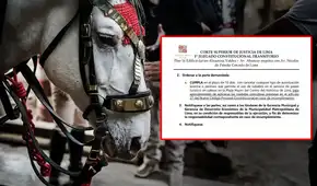 Municipalidad de Lima con días contados para cancelar uso de caballos para paseos en carruaje tras sentencia del Poder Judicial: funcionarios podrían ser denunciados