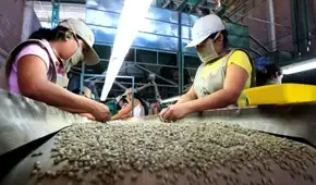 Midagri: Exportaciones de café peruano marcan récord y superan los US$1.700 millones al cierre de 2025
