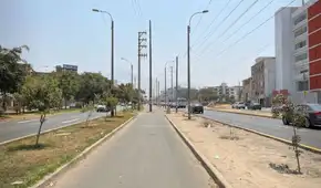 Lima, la ciudad con menos árboles de Sudamérica: casi cinco veces menos áreas verdes de lo que necesita