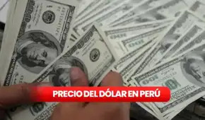 Precio del dólar hoy, domingo 15 de febrero de 2026, en casas de cambios, bancos y otros canales