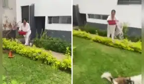 Mujer lanza agua con lejía a joven que paseaba a sus perros en parque de La Molina: “No le gusta que los animales pasen frente a su casa”