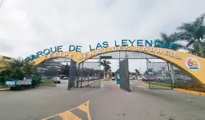 Parque de las Leyendas anuncia evento 'Capibara Fest' este 22 de febrero: ¿quiénes ingresan gratis?