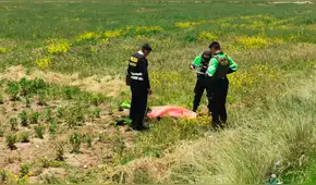 Encuentran sin vida a un hombre en sembrío de papas en Juliaca: investigan presunto atropello