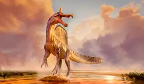 Un descubrimiento “maravilloso” en el Sáhara: una nueva especie de dinosaurio de 13 metros con una cresta de colores