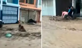 Adulta mayor muere tras ser arrastrada por huaico cuando intentó salvar a su nieta en Arequipa