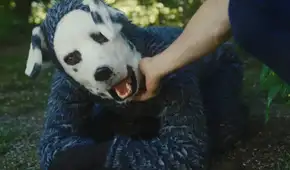 'Good Boy', la rara película que adelantó el fenómeno 'therian', sobre un hombre que vive como un perro