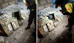 Tacna: rescatan a menor de 11 años que dormía en una casa de un perro