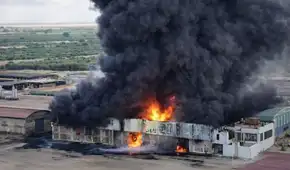 Gigantesco incendio destruye planta de olivo en La Yarada, Tacna: bomberos reportan explosiones