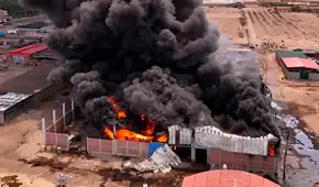 Gigantesco incendio destruye planta de olivo en La Yarada, Tacna: siniestro dejó dos heridos y pérdidas de más de S/500.000
