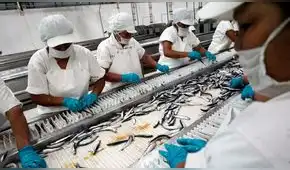 El boom que no hace bum. Coyuntura externa favorable pero mediocres resultados, por Javier Herrera