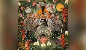 Los Mirlos, Bomba Estéreo y un disco que apunta al Latin Grammy