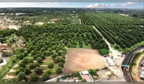 Violencia y tráfico tierras: los principales problemas que enfrentan los iqueños