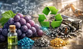 Científicos descubren que un ácido natural presente en las uvas ayuda a separar metales clave para reciclar baterías