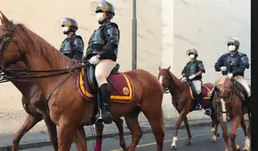Poder Judicial prohíbe a la Policía Nacional usar caballos para reprimir protestas