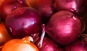 Descubrimiento de científicos finlandeses: la cáscara de cebolla puede hacer que los paneles solares sean más resistentes