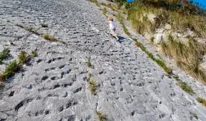 Unos escaladores italianos descubrieron por accidente pruebas de una estampida de tortugas marinas de hace 80 millones de años