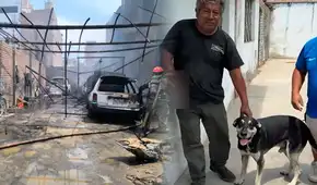 ¡Héroe de 4 patas! Perrito salva a su dueño durante incendio en taller mecánico de Trujillo