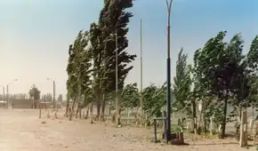 Otoño 2026 llega con fuerza: Senamhi alerta vientos de hasta 46 km/h en la costa peruana