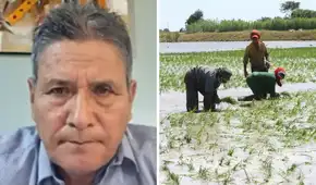 Productores de arroz advierten paro nacional si Gobierno no declara en emergencia el sector en 15 días: “La situación es crítica”