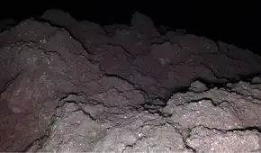 La vida podría tener origen espacial: descubren en el asteroide Ryugu los 5 componentes genéticos clave para la biología