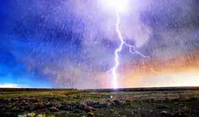 Parece improbable, pero un estudio lo avala: los hongos serían capaces de controlar el clima