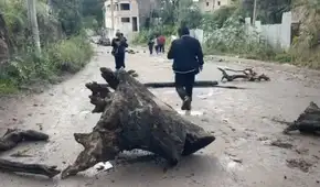 Transportistas de carga pesada suspenden paro indefinido en Ayacucho tras acuerdo de 10 días con el Gobierno Regional