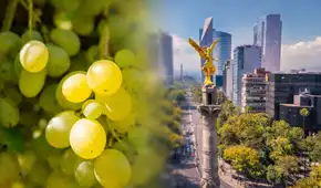 Exportaciones peruanas con valor agregado a México superan los US$100 millones en enero de 2026