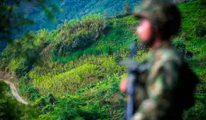 Ejercito de Colombia rescató en la selva a cinco niños ocultos para no ser reclutados por las FARC