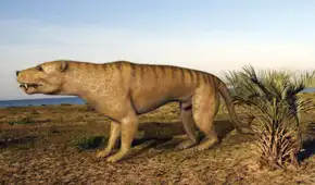 Hallazgo sorprendente reescribe la historia de un fósil de 247 millones de años descubierto en 1952