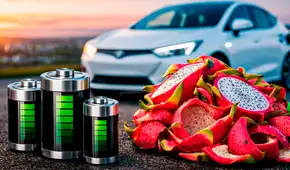 Científicos chinos logran convertir cáscaras de pitahaya en un elemento clave para las baterías de autos eléctricos y aeronaves militares