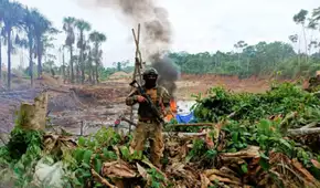 Madre de Dios: Minería ilegal pierde más de S/ 10 millones por operaciones militares