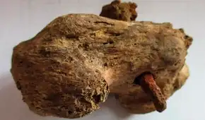 Descubrimiento arqueológico revela la "mayor evidencia" que confirma la existencia de la crucifixión en la antigua Roma