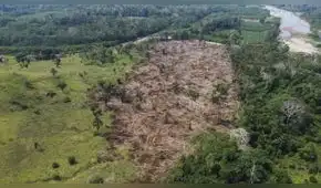 Expertos advierten que agenda ambiental sigue relegada en pleno proceso electoral