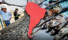 Este país de América Latina destaca como el mayor productor de pescado en el mundo junto a China: supera a EE.UU. y Rusia