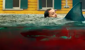 Película 'Embestida' Netflix final explicado: ¿qué pasó con los hermanos Dee, Ron y Will y otros personajes principales?