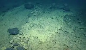 Científicos se sorprendieron tras un descubrimiento a 3.000 metros de profundidad: “un camino de ladrillos amarillos" en el fondo oceánico