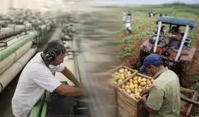 INEI: producción nacional creció 3,68% en febrero por mayor actividad económica