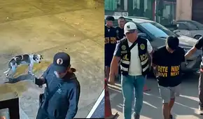 Caen Los Malditos de Bayóvar: banda acusada de extorsionar y atentar contra empresa de transporte en San Juan de Lurigancho