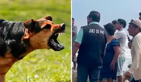 Investigan muerte de pescador por presunto ataque de 12 perros en la playa de Santiago de Car en La Libertad