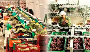 Perú: agroexportaciones suman US$2.220 millones en enero y febrero y crecen 6,7%