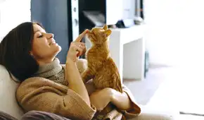 Un estudio confirma que hablarle a tu gato con voz infantil mejora su atención y fortalece el vínculo emocional