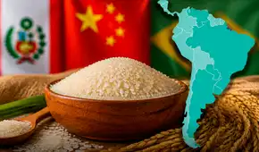 Ni Perú ni Panamá: el único país de América Latina en top 10 de producción y consumo de arroz en el mundo, detrás de China