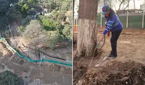 El pulmón verde de Lima en alerta: vecinos denuncian falta de riego en árboles tras remodelación del Campo de Marte